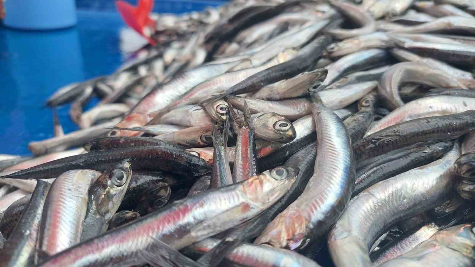 Fırtınadan kaçan hamsiler Tekirdağ’da kilosu 50 liraya satılıyor