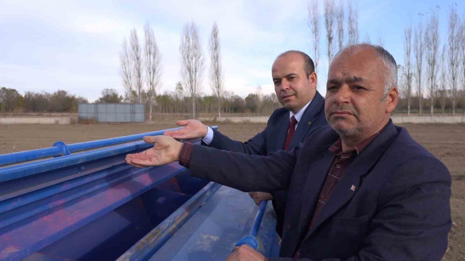 Iğdır’da yerli ve milli buğday ekildi