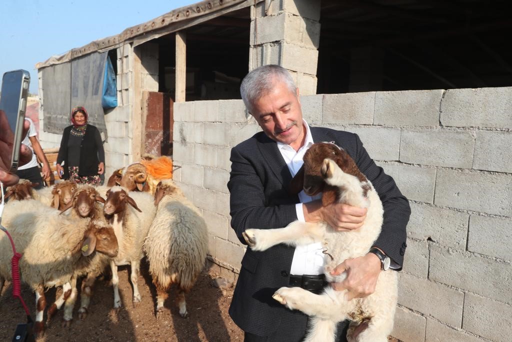 Tahmazoğlu “Hayvancılığa desteğimiz sürecek”
