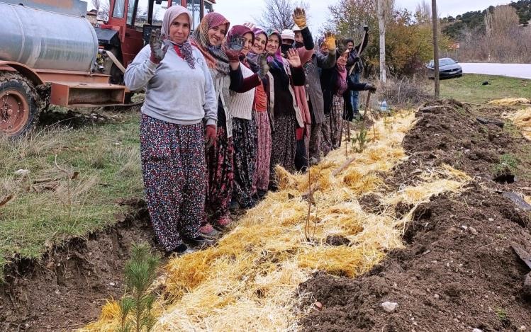 Kütahya’da gıda ormanı çalışması