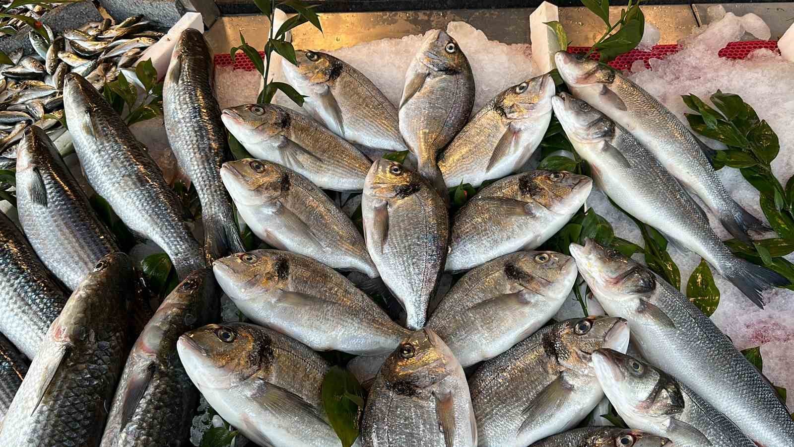 Sıcak hava Karadeniz’de balığı etkiledi