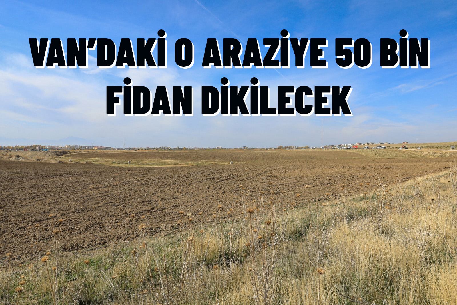 Van’daki o araziye 50 bin fidan dikilecek