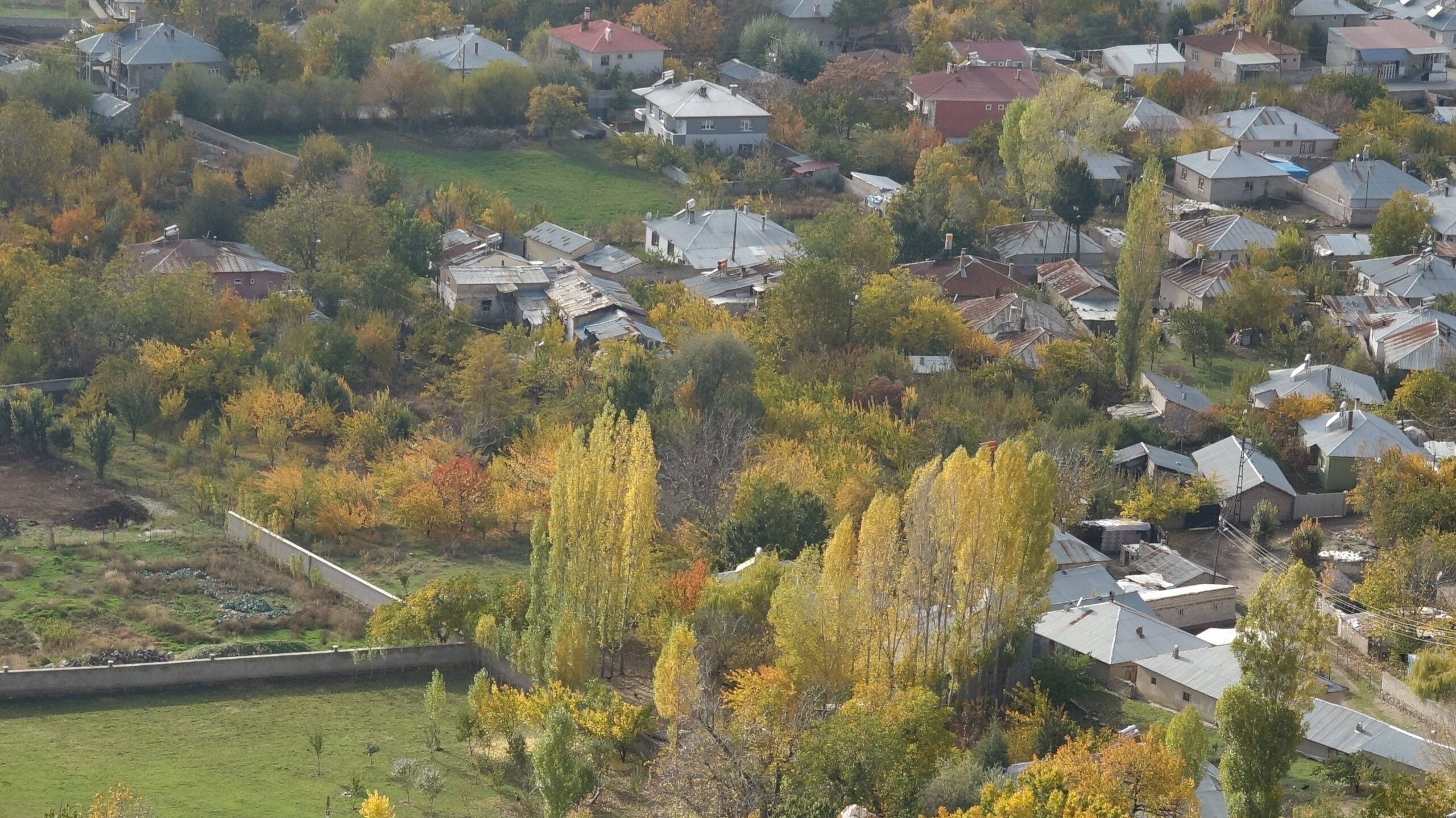 Van’ın Erciş ilçesinde sonbahar güzelliği
