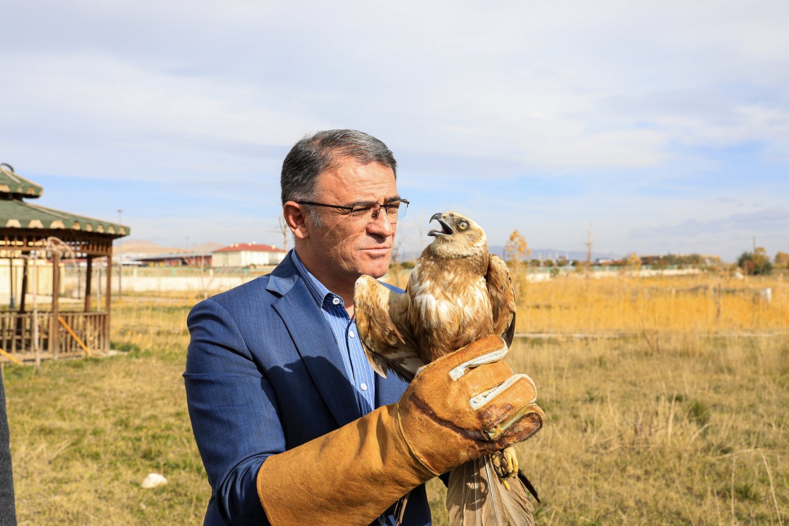 Van Valisi Balcı tedavisi tamamlanan Saz Delicesi’ni doğaya saldı
