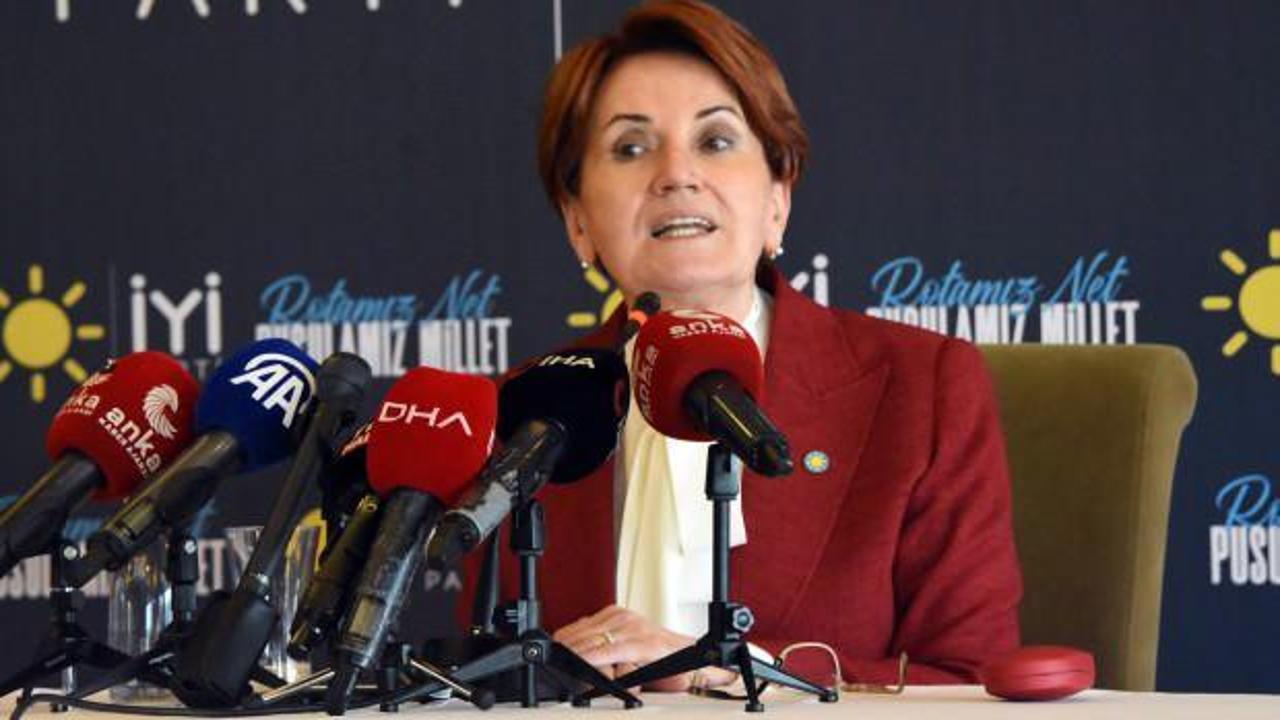 ‘Akçeli işleri araştıralım’ önerisi Meral Akşener’i çileden çıkardı!
