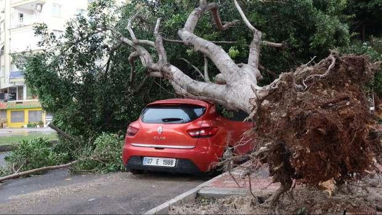 Antalya’da fırtına: Tekneler battı, ağaçlar devrildi