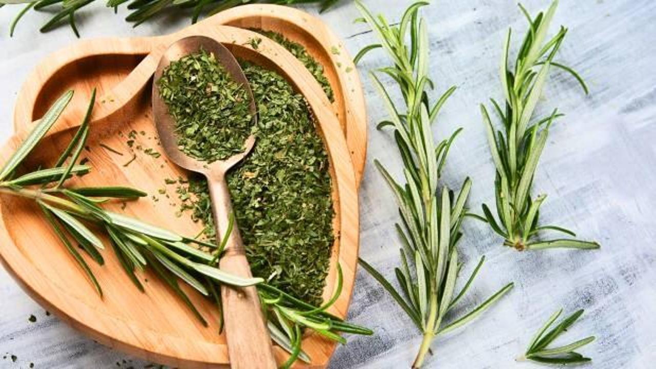 Biberiye suyunun akılalmaz faydaları: Her derde deva o baharat!