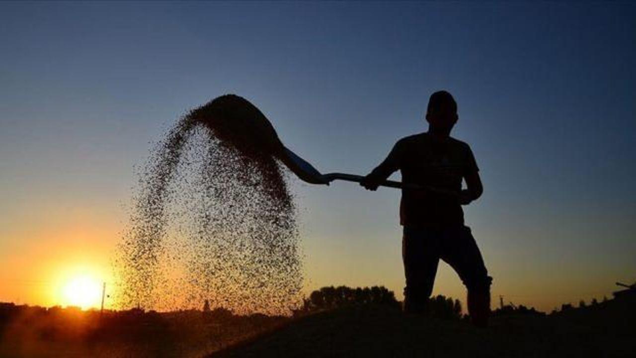 Çiftçiye mazot ve gübre desteği miktarları açıklandı