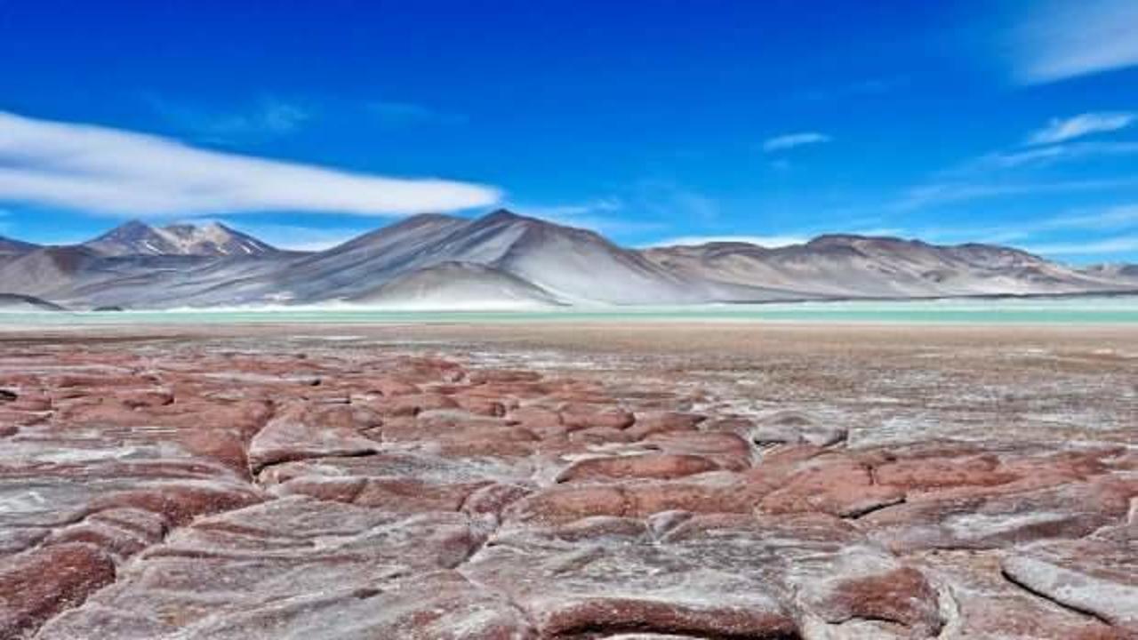 Dünyanın en büyük çölüne kurulacak! İşte dev proje hakkında bilinenler…