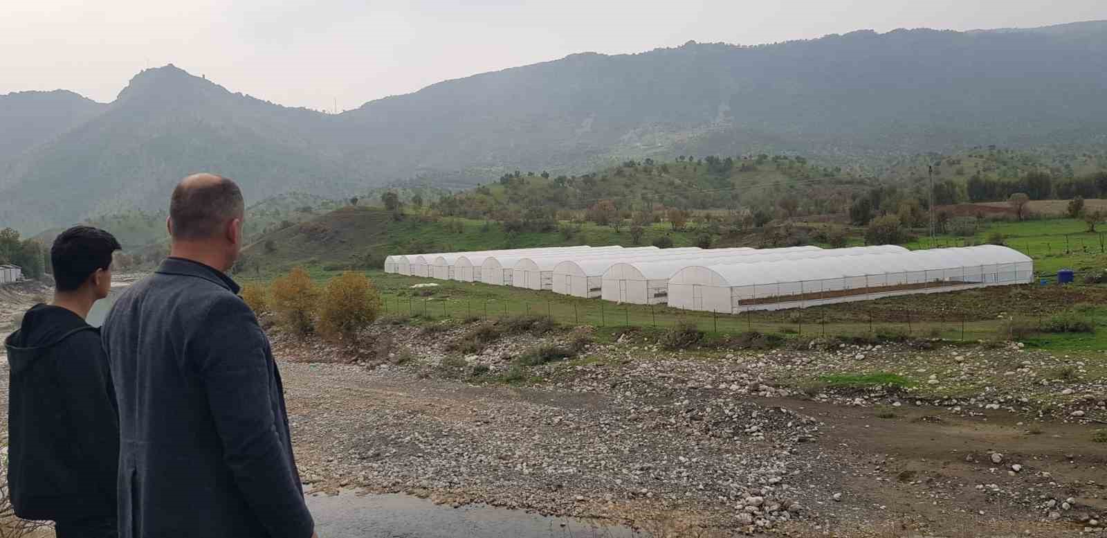 Derecik’te seracılık gelişiyor