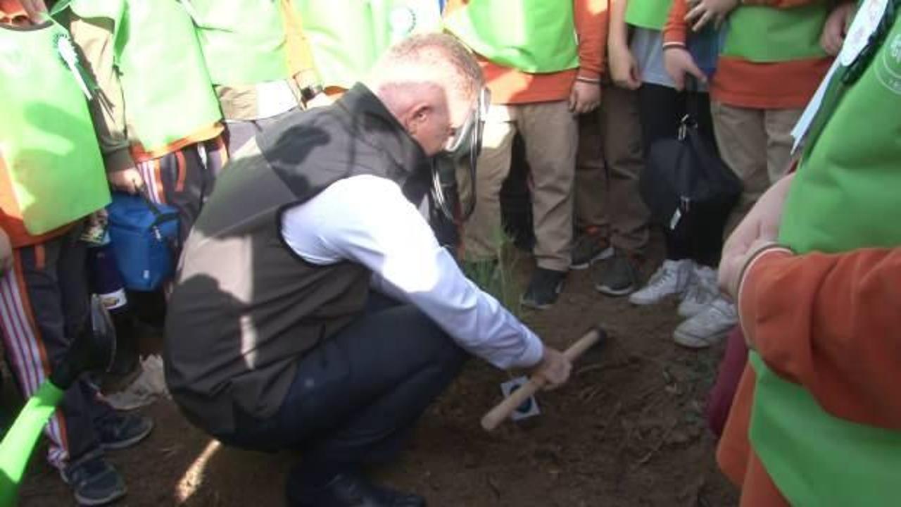 İstanbul Valisi Gül: İstanbul’da 2023’te yanan ormanların tamamı tekrar dikilmiş olacak