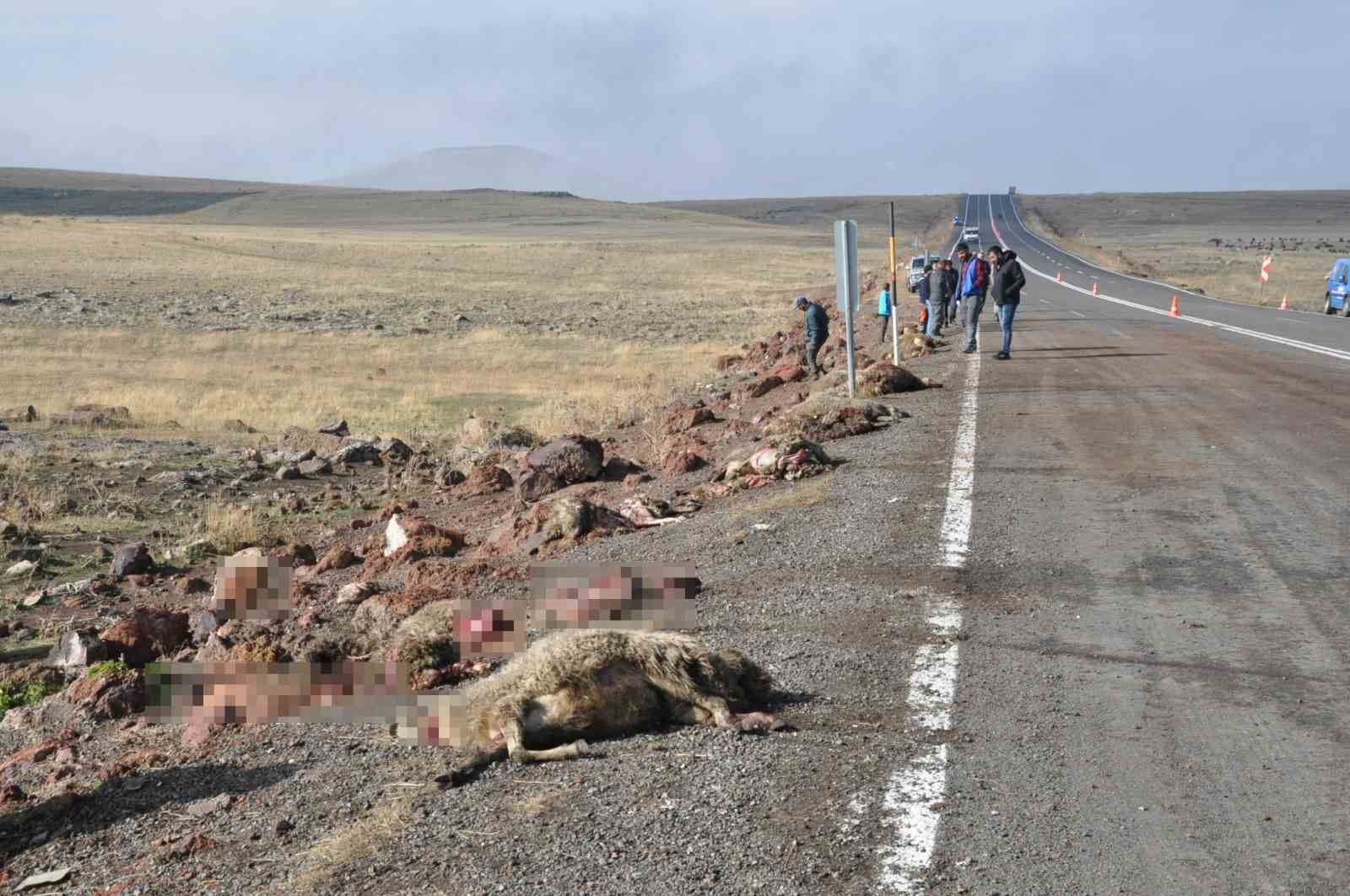 Van’dan Kars’a giden midibüs hayvan sürüsüne çarptı