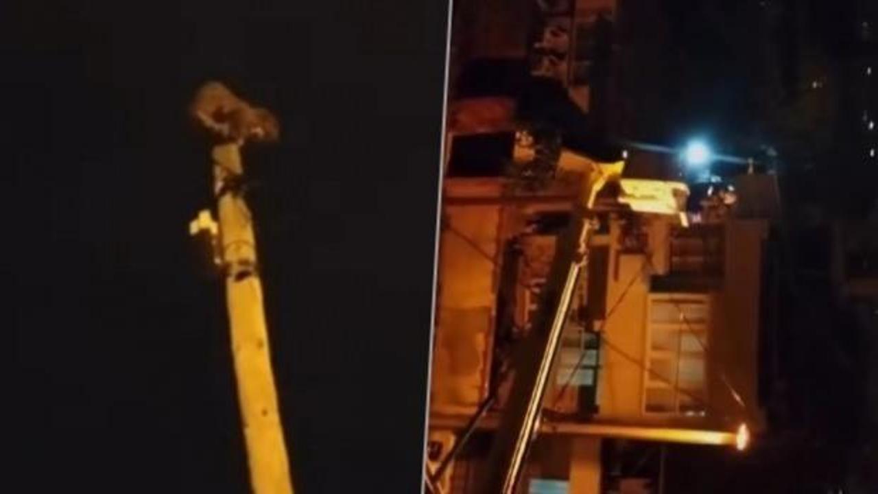 Mahsur kalan kediyi İtfaiye kaderine terk etti! UEDAŞ müdahale etti