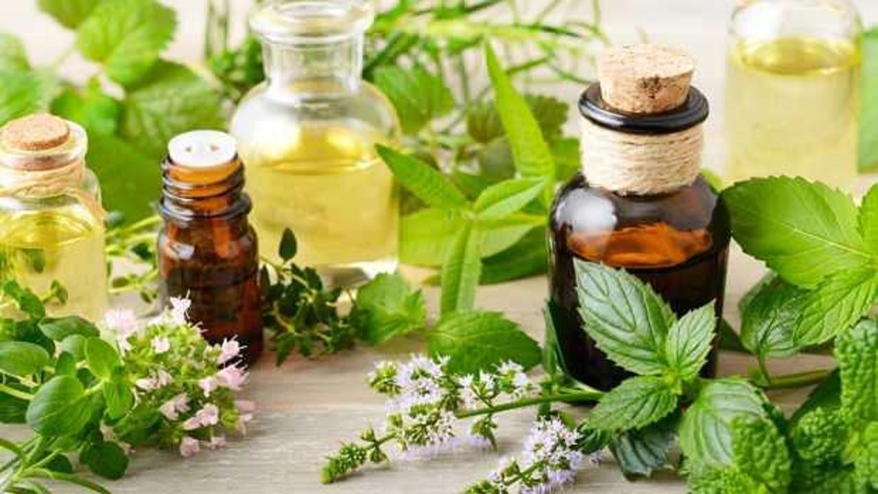 Nioli yağı idrar yolu enfeksiyonuna iyi gelir mi, nedir? Nioli yağı nasıl kullanılır, faydaları nelerdir?