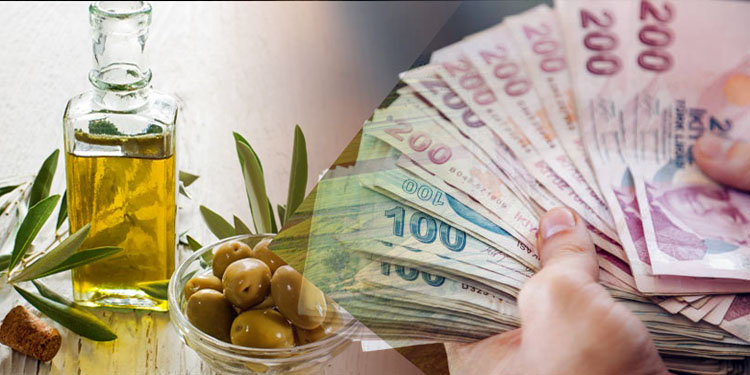 783 milyon 465 bin liralık destekleme ödemesi hesaplara aktarıldı