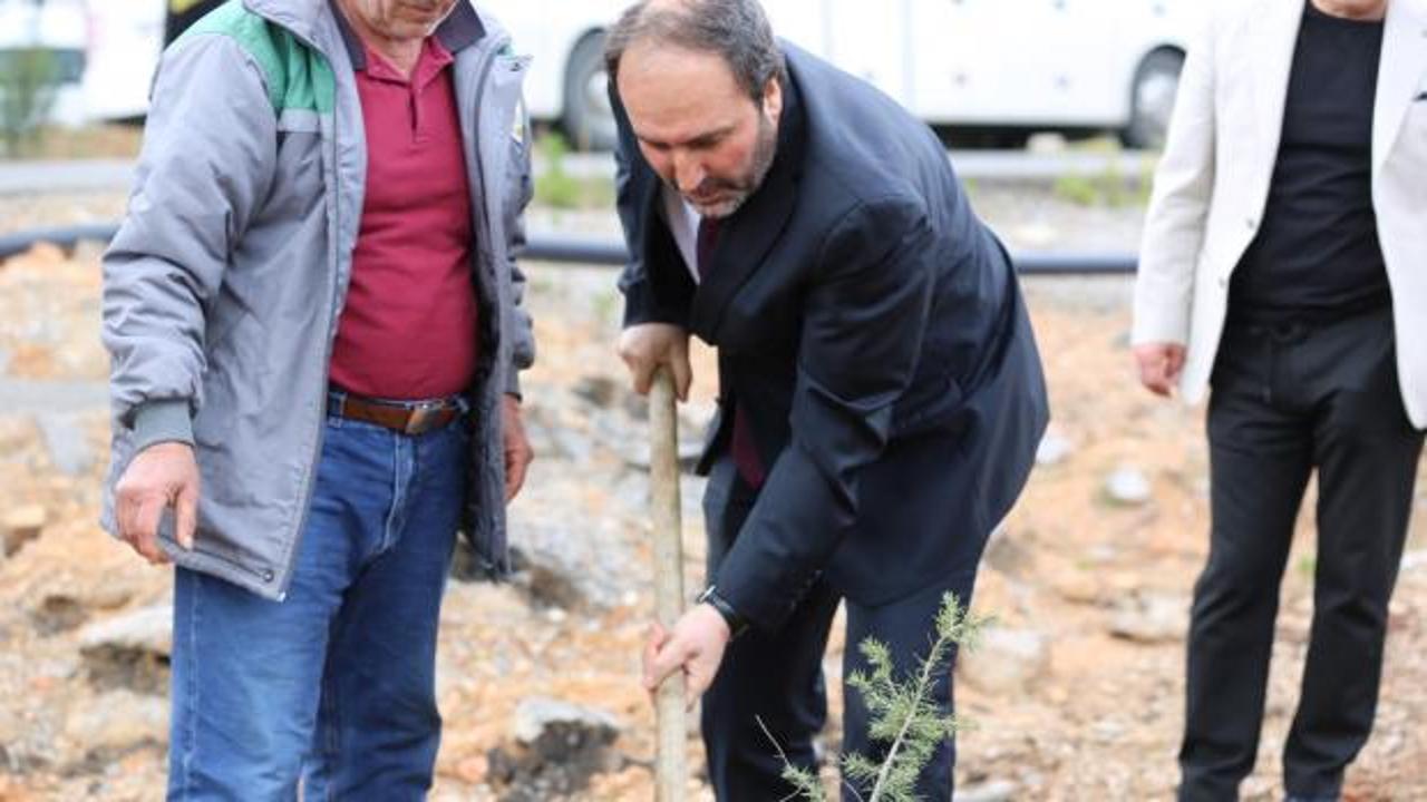 TDV ‘1 İyilik 1 Fidan’ kampanyasıyla yıl sonuna kadar 800 bin fidan dikecek