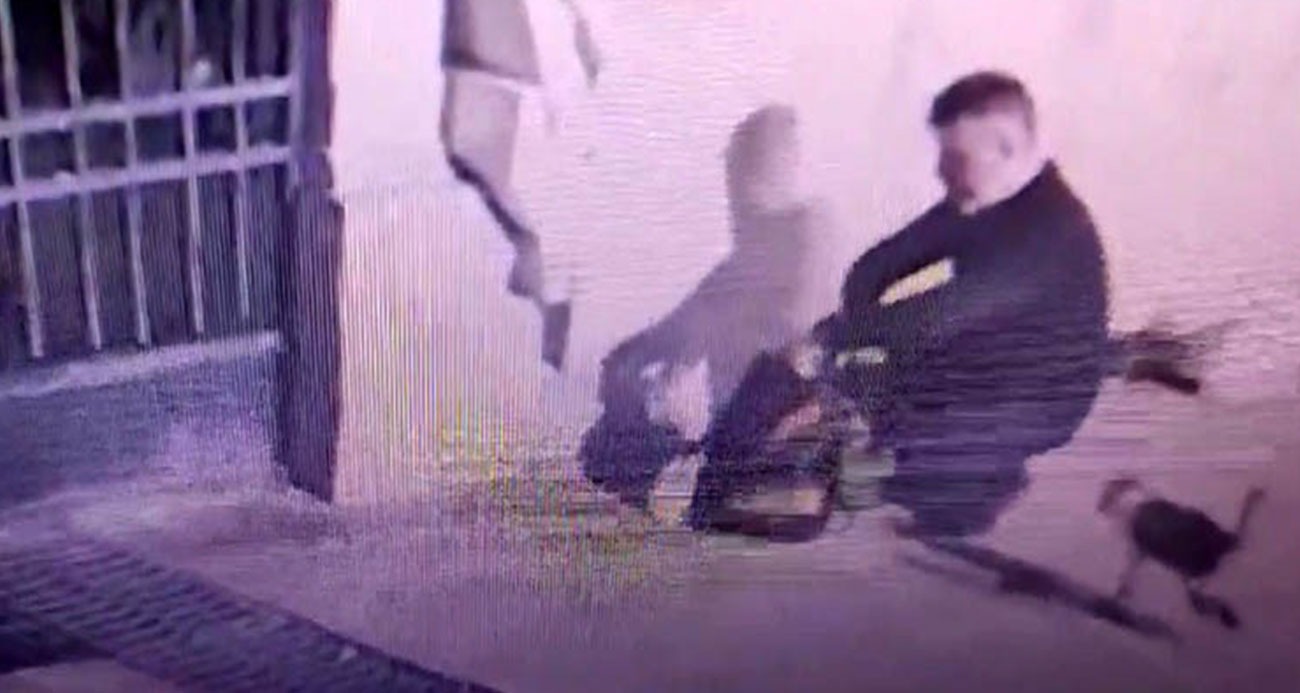 Fatih’te kedileri toplayıp zarar verdiği iddia edilen şahıs kamerada