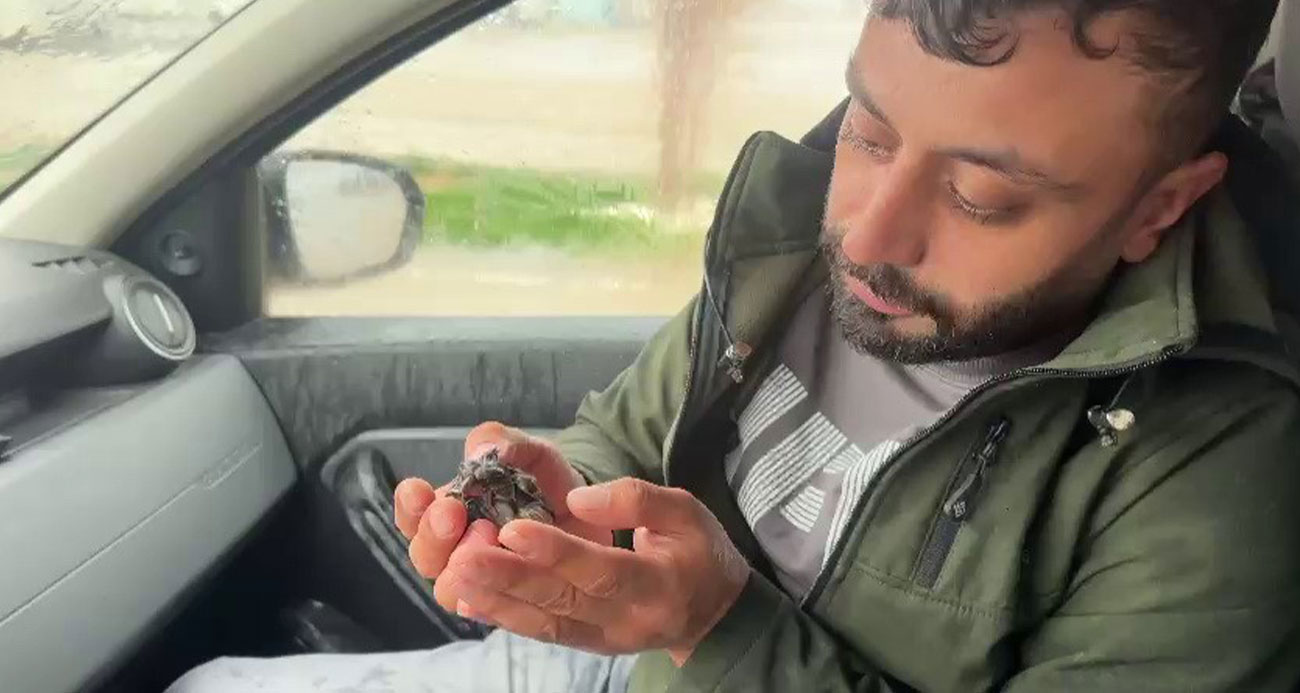 Sel sularında çırpınan serçeyi habere giden gazeteci kurtardı