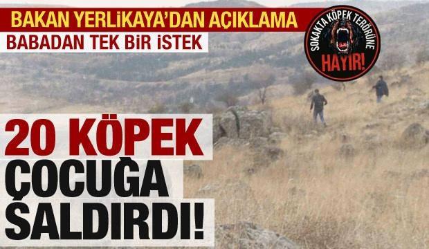 Erdoğan: Başıboş köpek sorununu çözeceğiz!