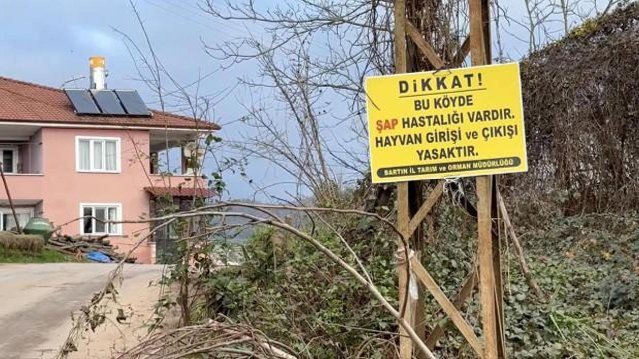 12 köyde şap karantinası