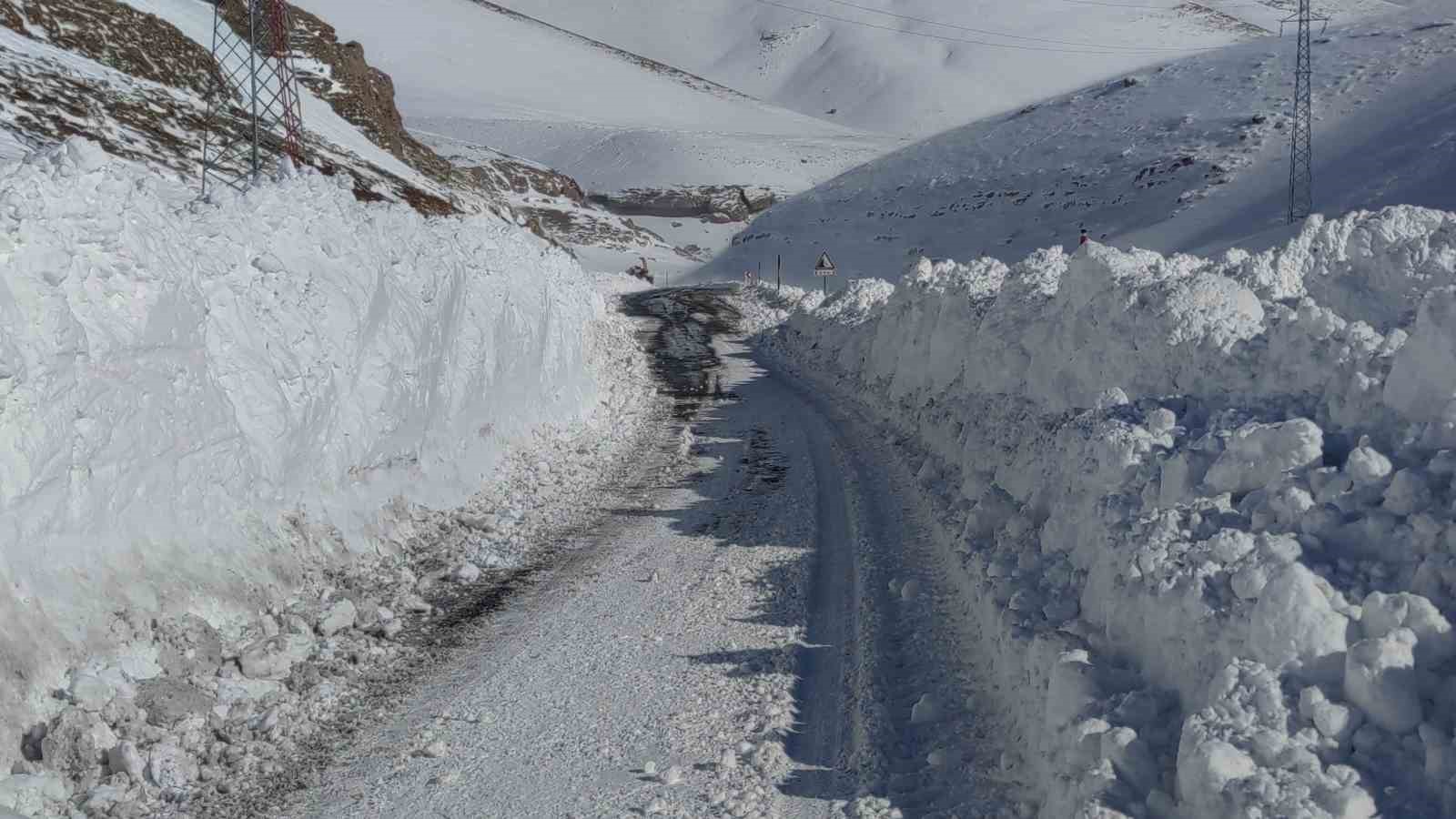 Van Bahçesaray yoluna düşen çığ bölgeleri temizleniyor