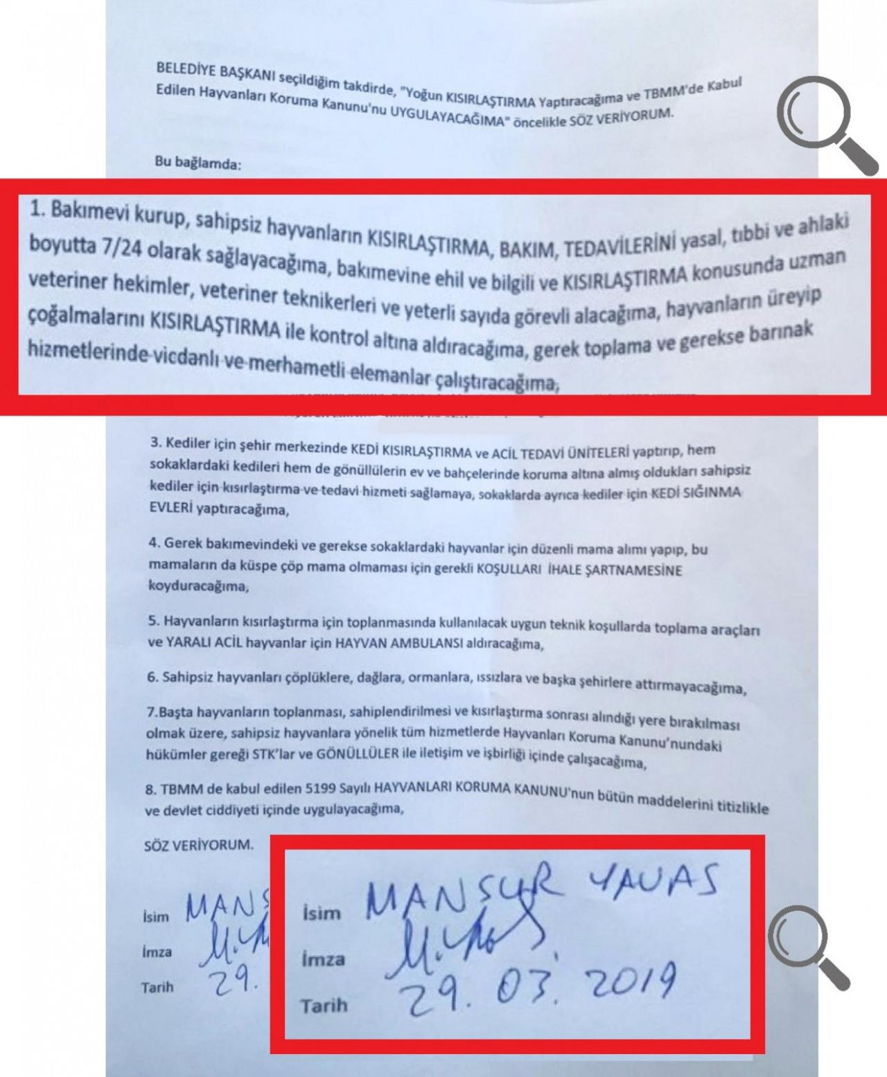 Mansur Yavaş'ın 'başıboş köpek' algısını bozdu: 163 milyon TL harcadı, hiçbir şey yapmadı