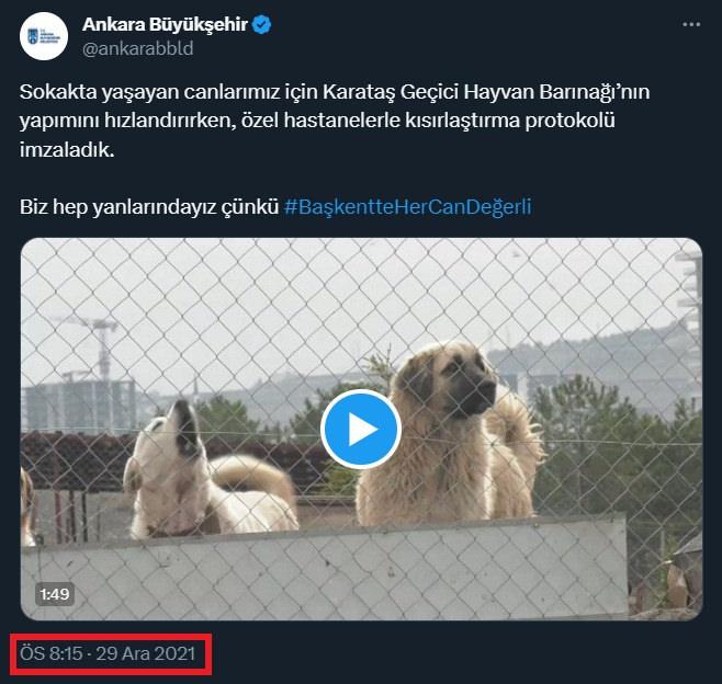 Mansur Yavaş'ın 'başıboş köpek' algısını bozdu: 163 milyon TL harcadı, hiçbir şey yapmadı