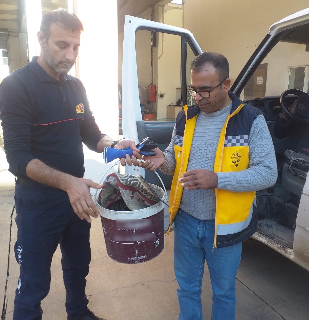 Beli kırılan kedi tedavi altına alındı