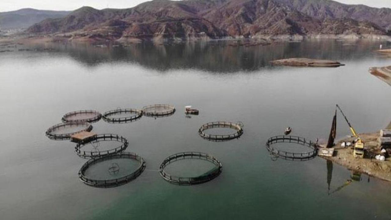 Denizi olmayan kentten somon ihracatı