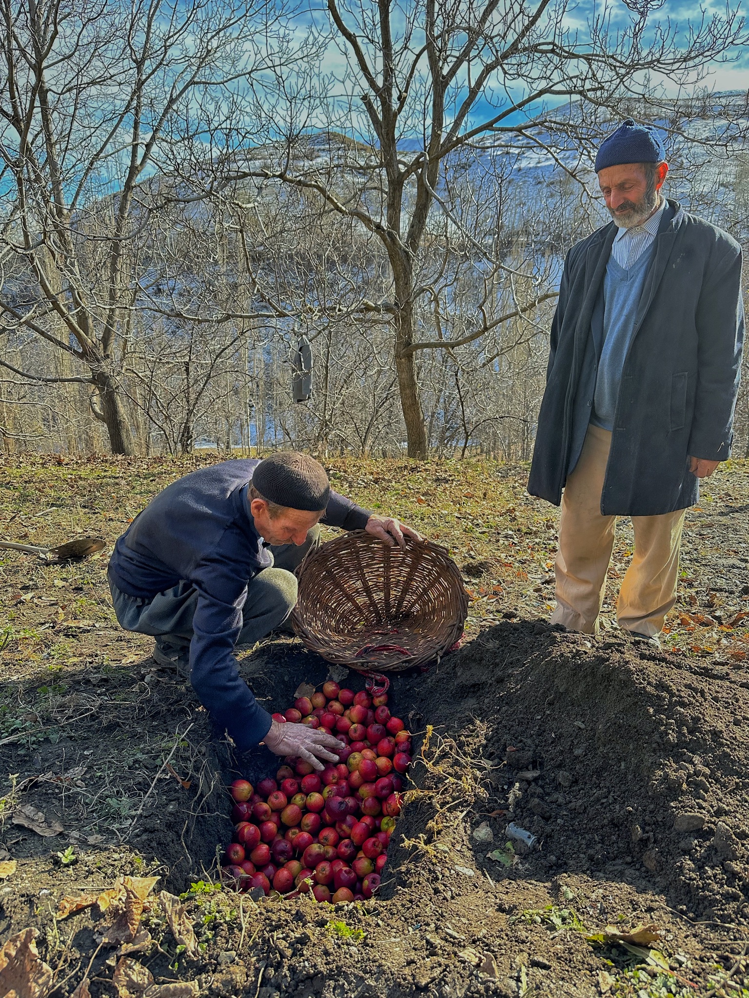 Van’da toprağa gömülen elma’s: SÉVÉ ÇALÉ!
