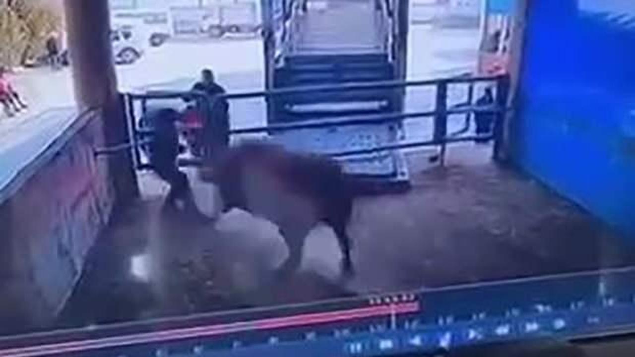 Amasya’da kızgın boğanın saldırdığı adam öldü