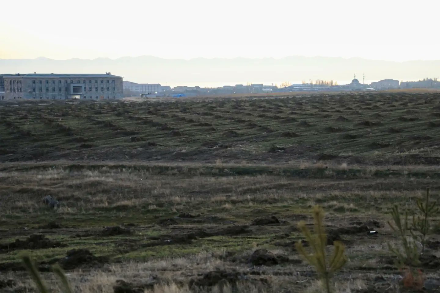 Van YYÜ yerleşkesine 115 bin fidan dikildi