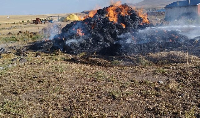 Başkale’de 3 bin 500 bağ ot kül oldu