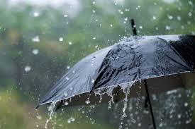 Van Valiliğinden kuvvetli yağış uyarısı!