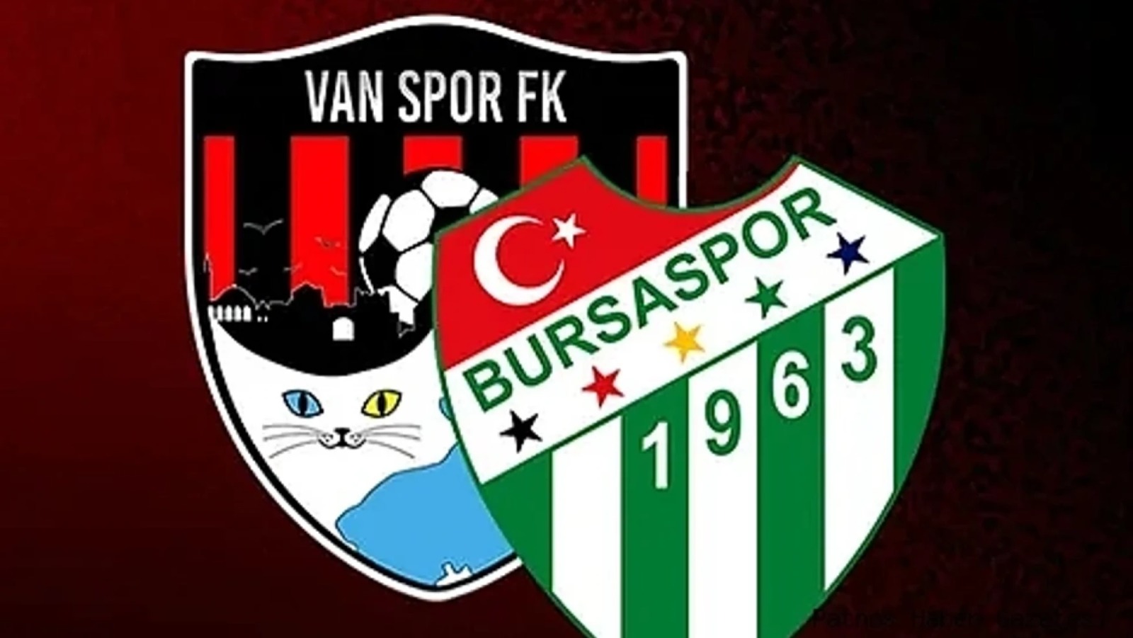 Vanspor-Bursaspor Maçı Seyircisiz Olacak!