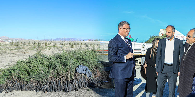 Van YYÜ’ye 100 bin fidan dikilecek