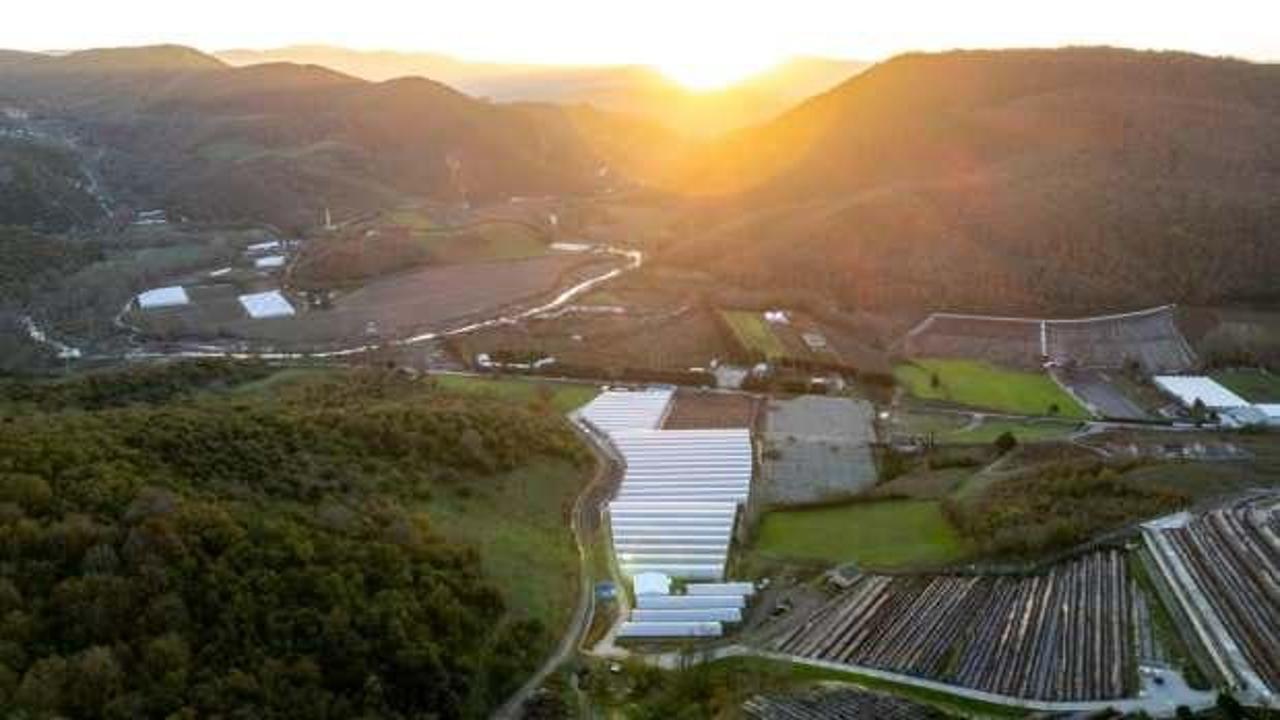 Alova Farm, ABD merkezli Fall Creek ile iş birliği yapıyor
