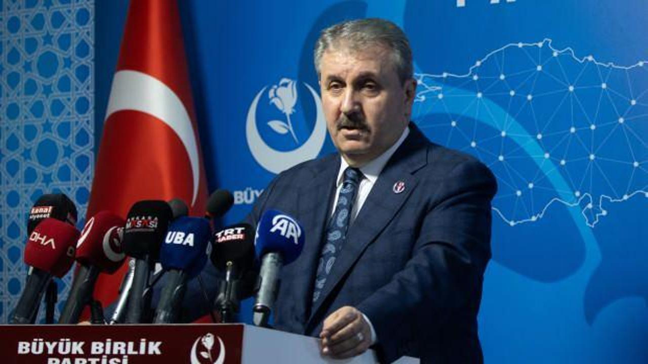 Destici’den başıboş köpek sorununa çözüm önerisi