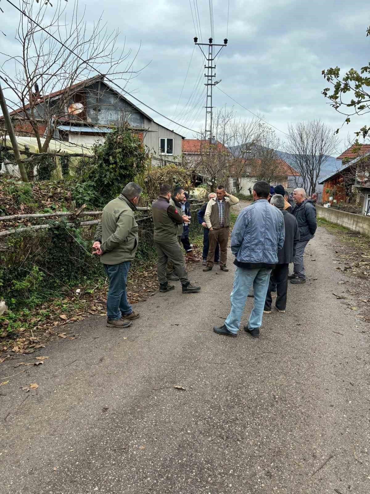 Bahçeye dadanan ayı tellere takıldı