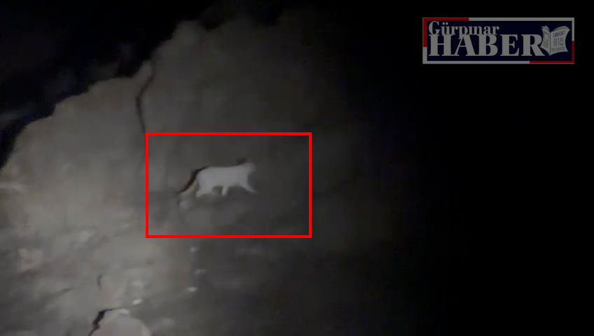 Gördükleri hayvan ile ilgili yaptıkları isim tahminleri güldürdü