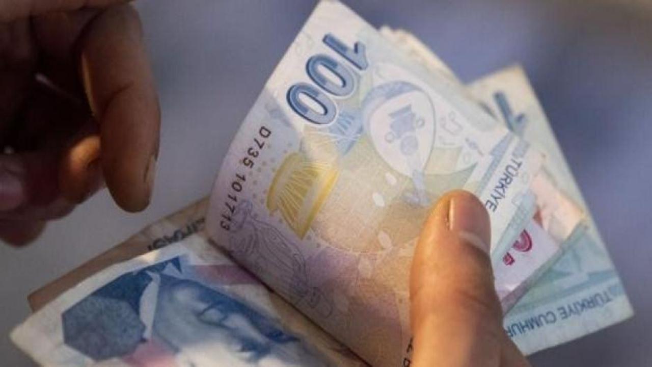Merkez Bankası 300 milyar lira ayırdı