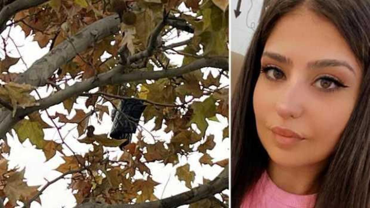 Kavşak projesi iptal edilen yolda ölen Gamze’nin çantası, ağaçta bulundu