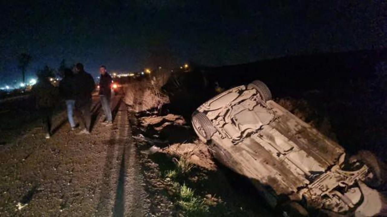 Sokak köpekleri 3 ilde 3 kazaya sebep oldu: 10 yaralı!