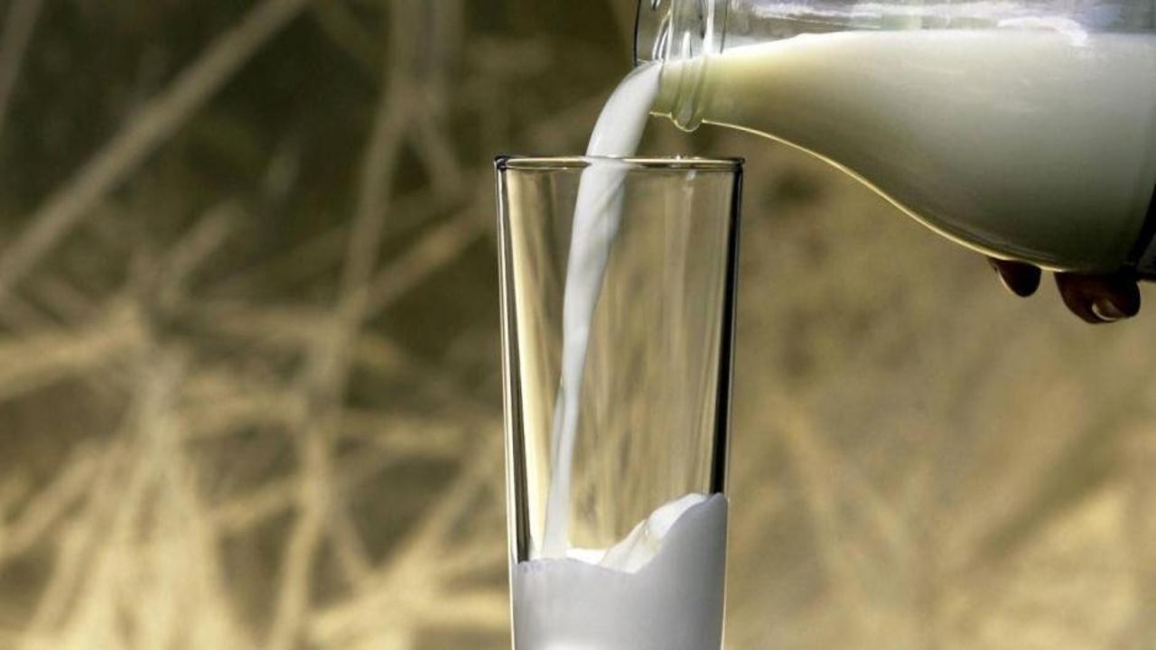 Toplanan inek sütü miktarı ekimde yıllık bazda yüzde 8,2 arttı