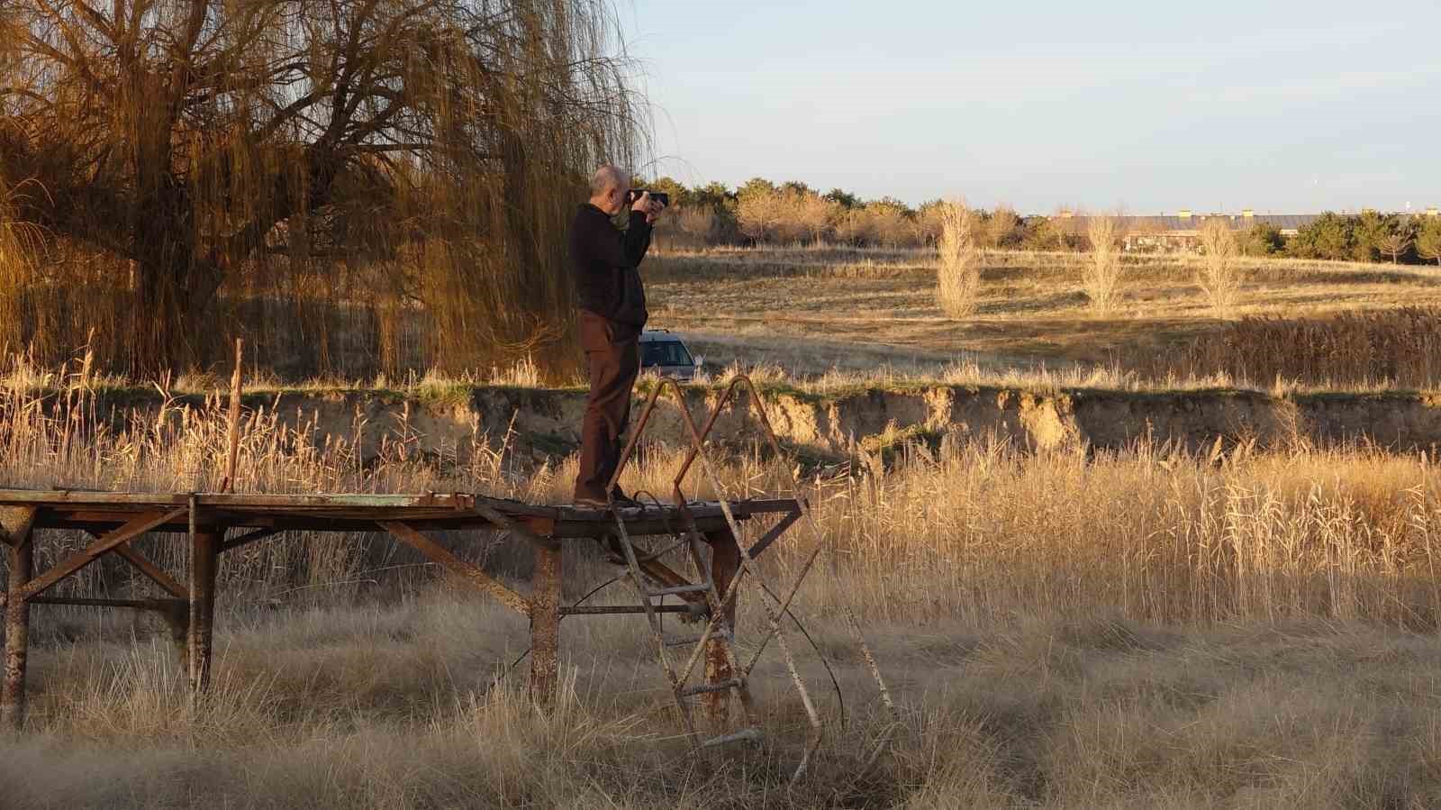 Van Gölü Erciş sahilleri fotoğrafçıları şaşırttı