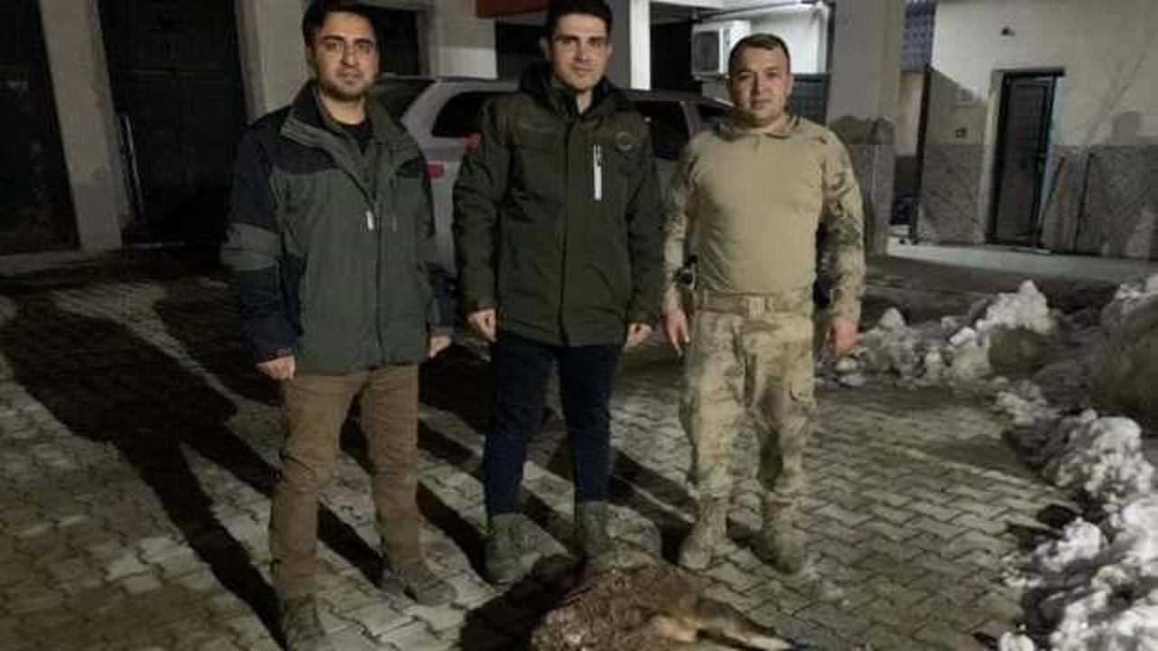 Van’da yaban keçisi avlayan 2 kişiye 314 bin 576 lira idari para cezası kesildi!