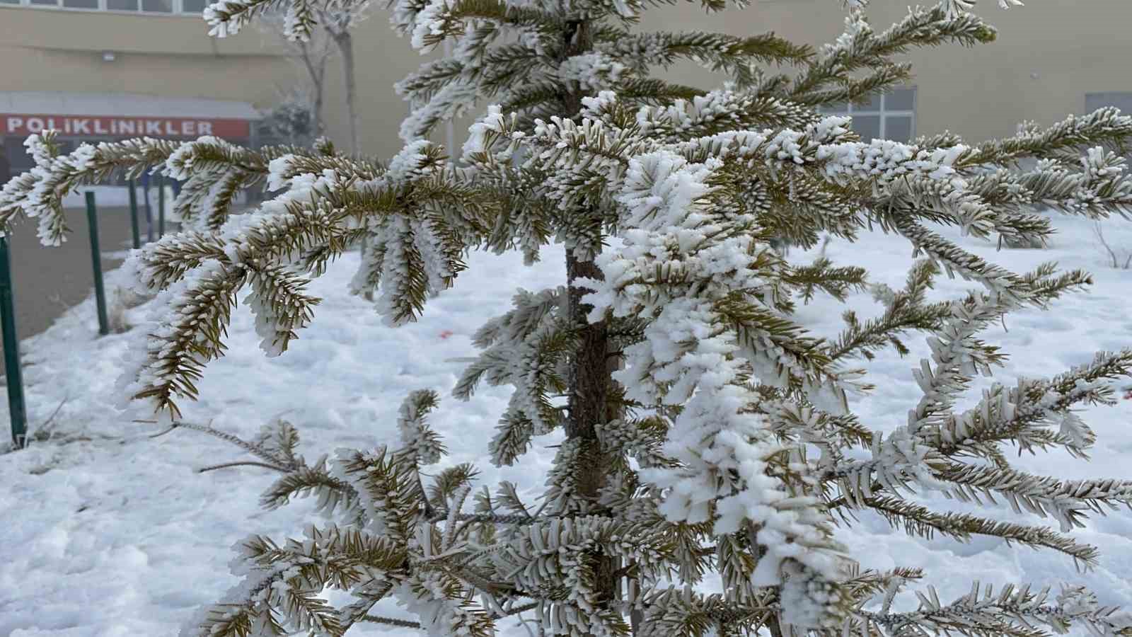 Bitlis’te ağaçlar kırağı tuttu
