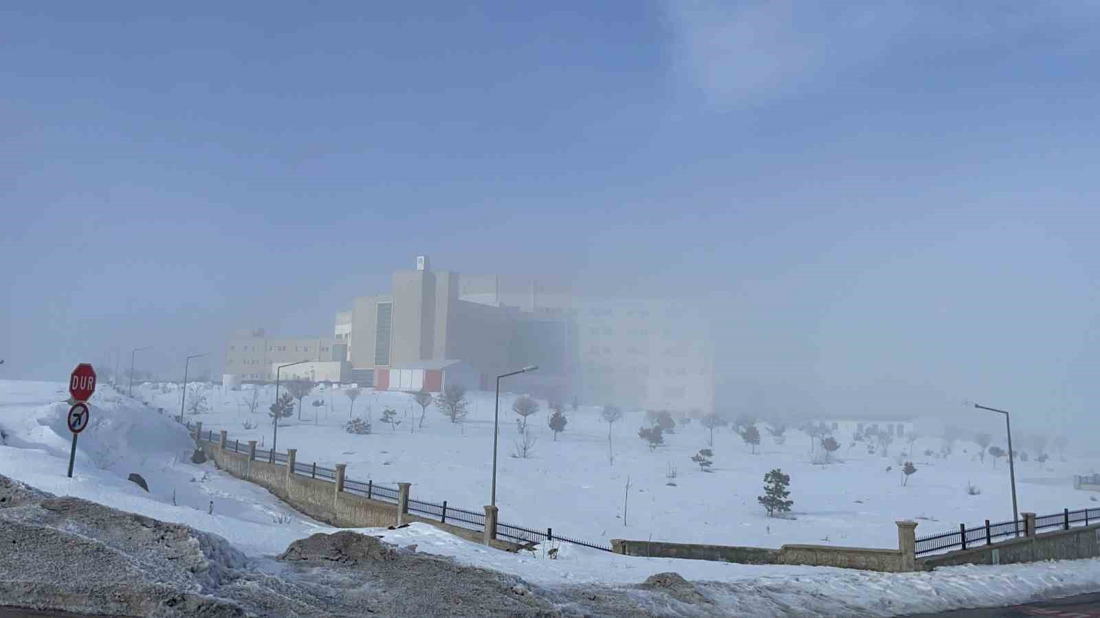 Bitlis’te ağaçlar kırağı tuttu