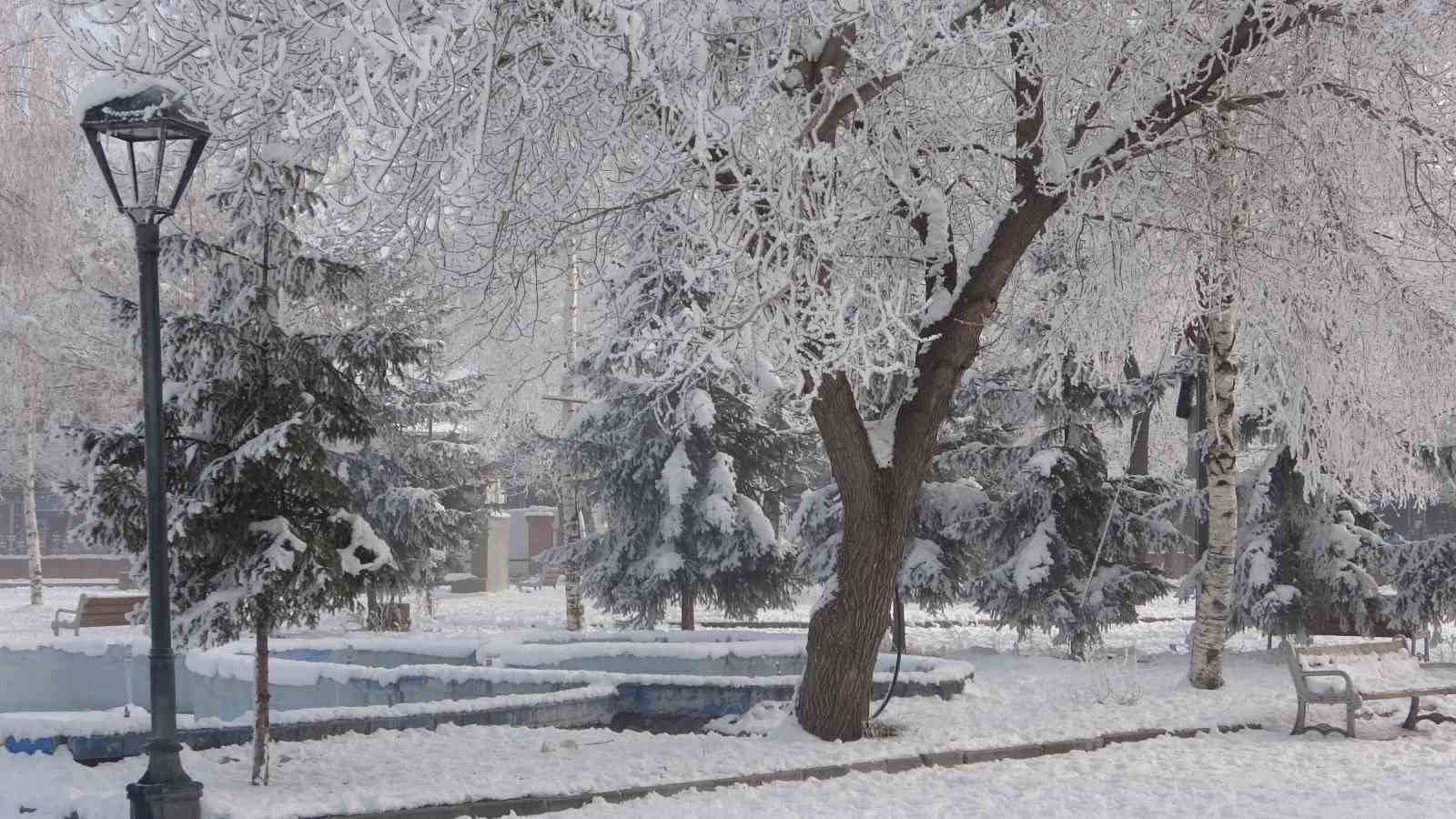 Ardahan’da Sibirya soğukları: Araçlar çalışmadı