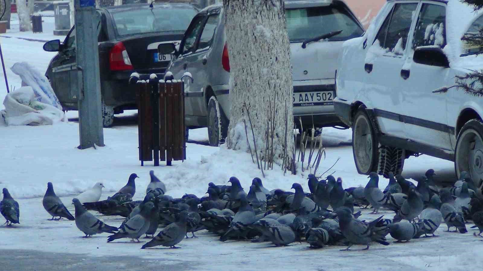 Kars beyaz gelinliğini giydi: Kentte 1 aydır beklenen kar yağdı
